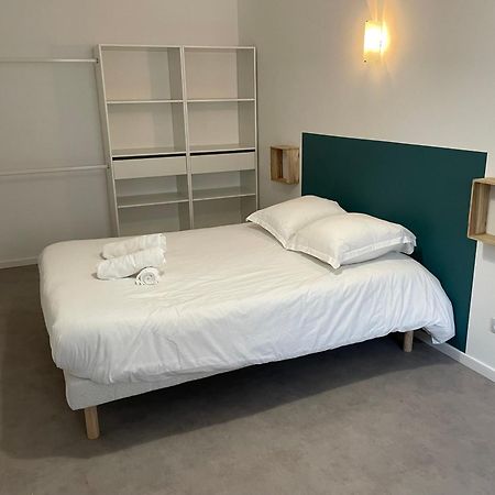 Place Du Marche 002, Au Coeur Des Rues Pietonnes Appartement Roanne Buitenkant foto