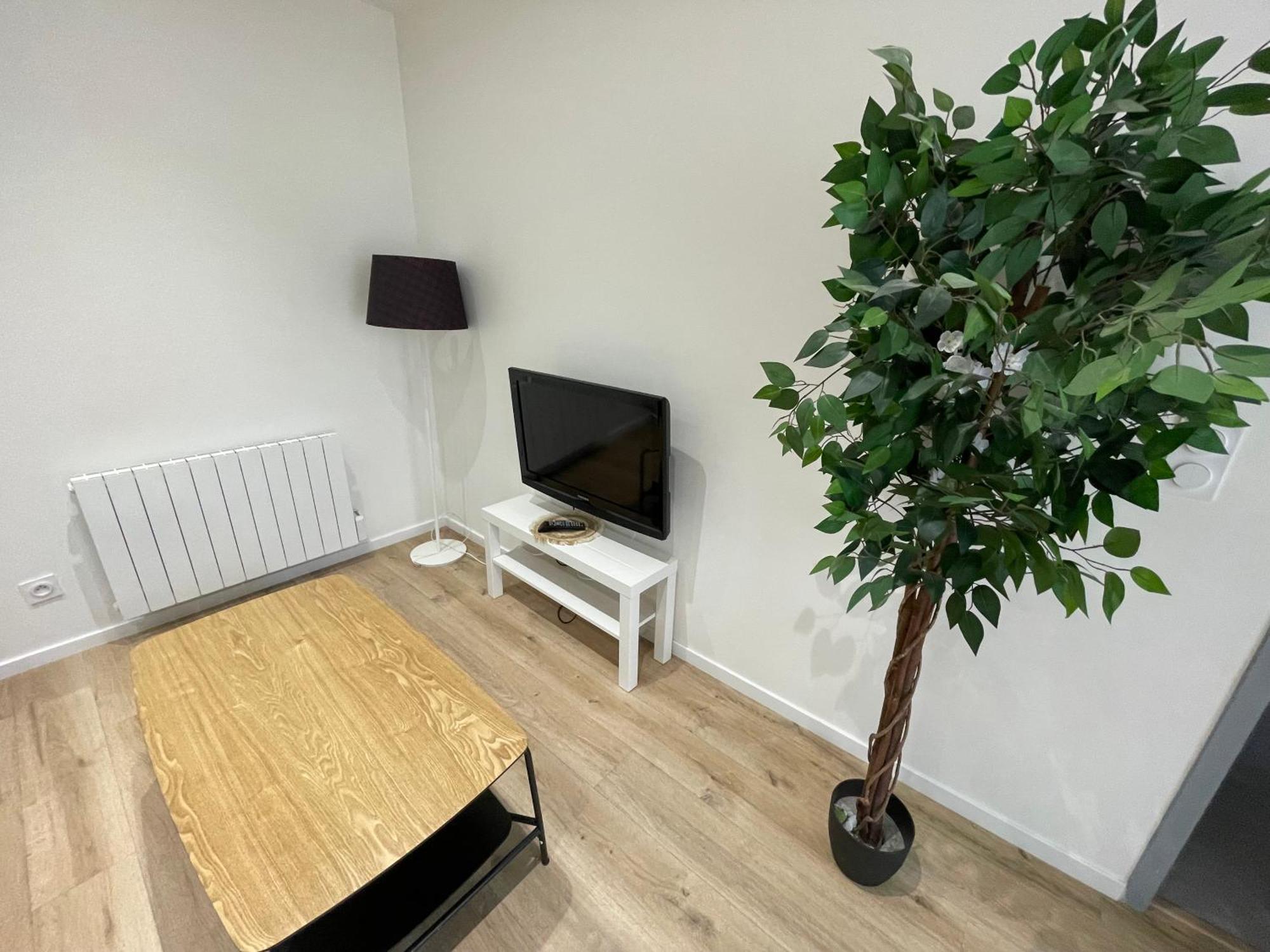 Place Du Marche 002, Au Coeur Des Rues Pietonnes Appartement Roanne Buitenkant foto